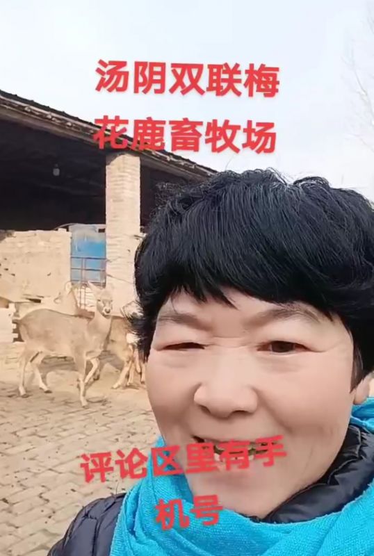 视频实拍